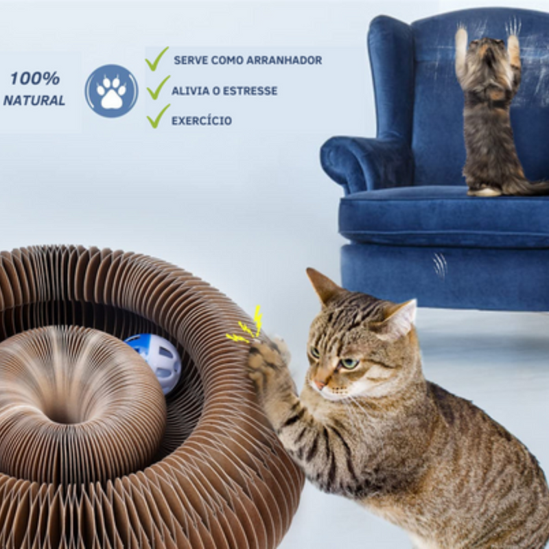 Brinquedo Interativo Para Gatos I Cat Joy + 1 Bola de Brinde - JokoStore - O ponto de encontro para ofertas incríveis