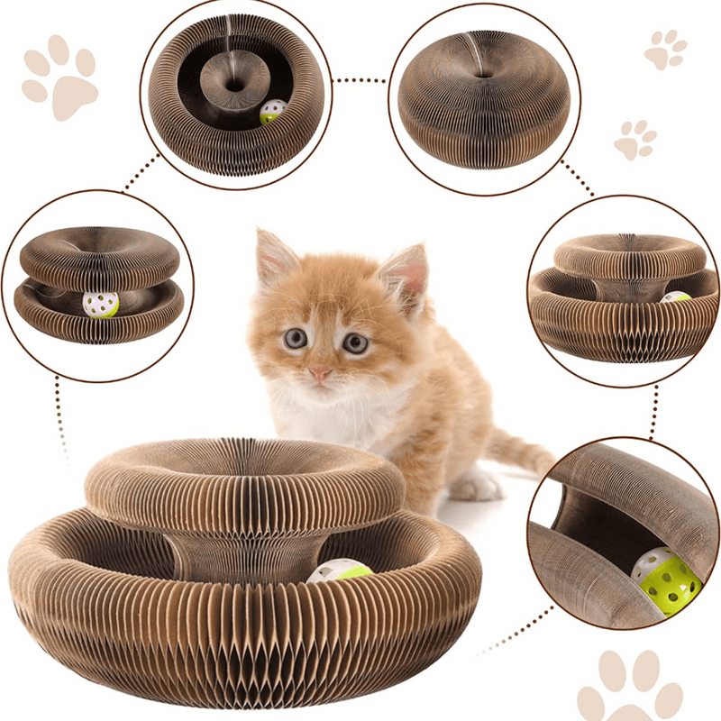 Brinquedo Interativo Para Gatos I Cat Joy + 1 Bola de Brinde - JokoStore - O ponto de encontro para ofertas incríveis