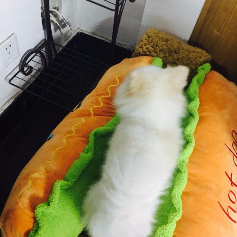 Cama para Pets - Hot Dog - JokoStore - O ponto de encontro para ofertas incríveis