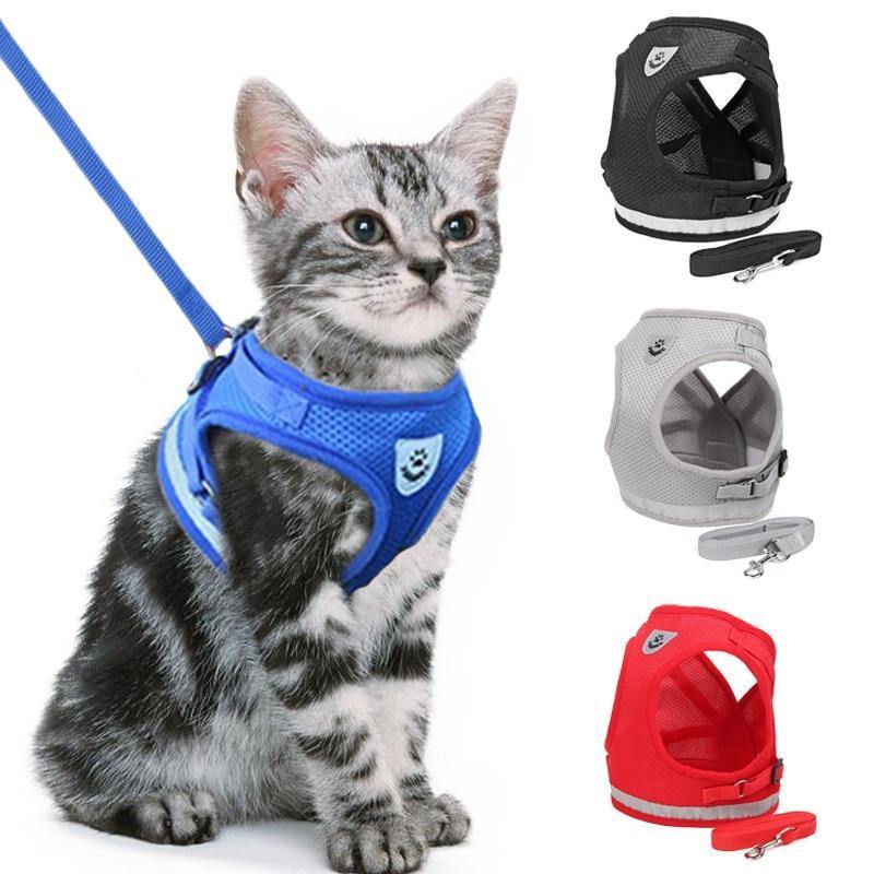 Coleira Peitoral para Gatos - JokoStore - O ponto de encontro para ofertas incríveis