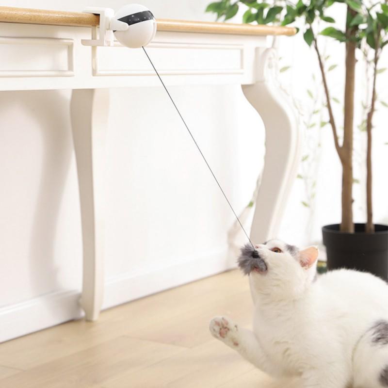 Brinquedo Interativo Para Gatos - JokoStore - O ponto de encontro para ofertas incríveis