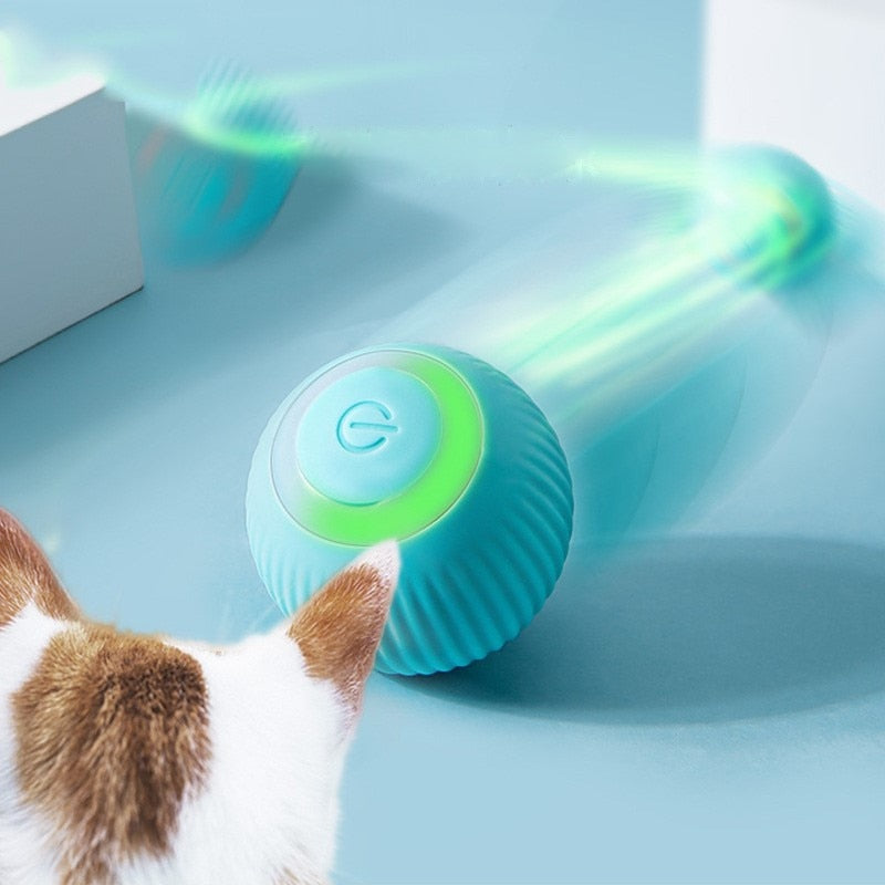 Bola Inteligente para Pet - Smart Ball™ - JokoStore - O ponto de encontro para ofertas incríveis