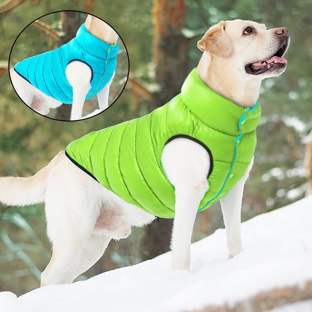 Colete Pet Alby™ Dupla-Face 3 Camadas | Roupa Para Cachorro - JokoStore - O ponto de encontro para ofertas incríveis