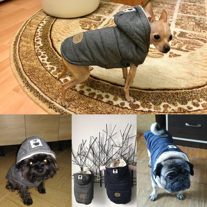 Colete de Inverno para Cachorros | Gentleman - JokoStore - O ponto de encontro para ofertas incríveis