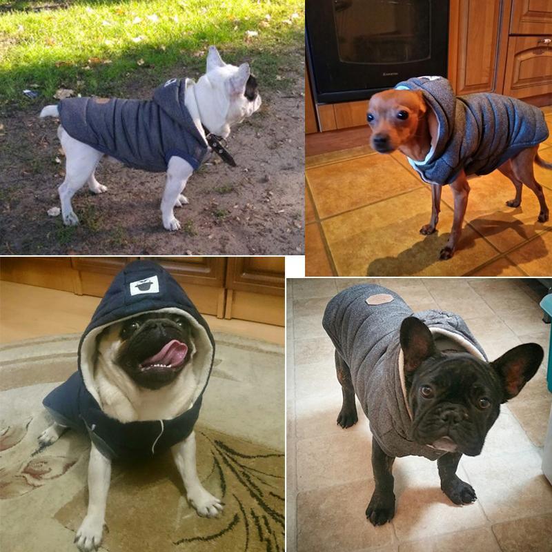 Colete de Inverno para Cachorros | Gentleman - JokoStore - O ponto de encontro para ofertas incríveis