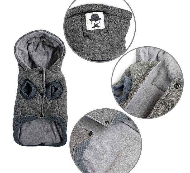 Colete de Inverno para Cachorros | Gentleman - JokoStore - O ponto de encontro para ofertas incríveis